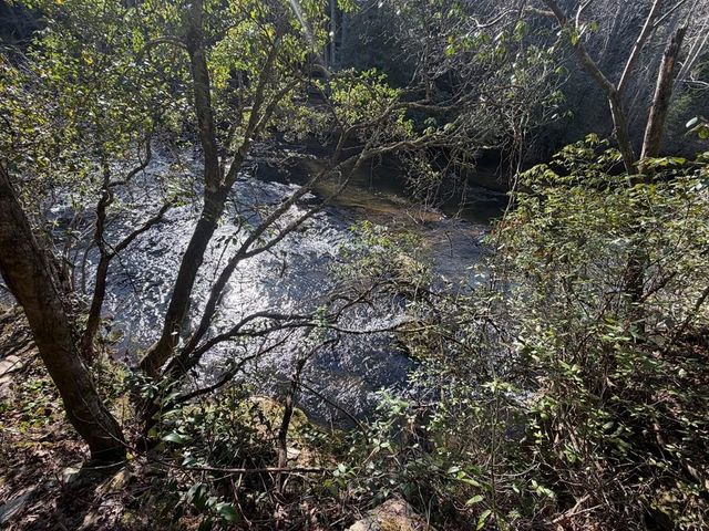 0 Frogtown Place, Dahlonega, GA 30533