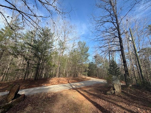 0 Frogtown Place, Dahlonega, GA 30533
