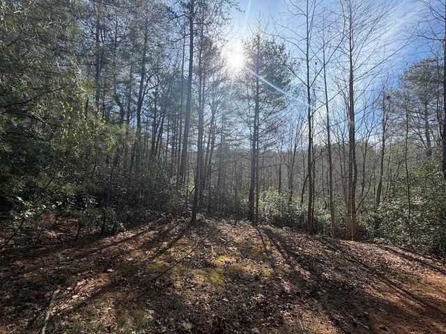 0 Frogtown Place, Dahlonega, GA 30533