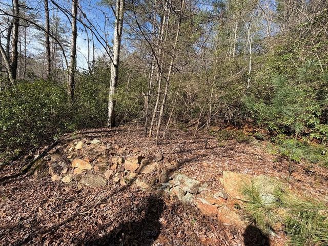 0 Frogtown Place, Dahlonega, GA 30533