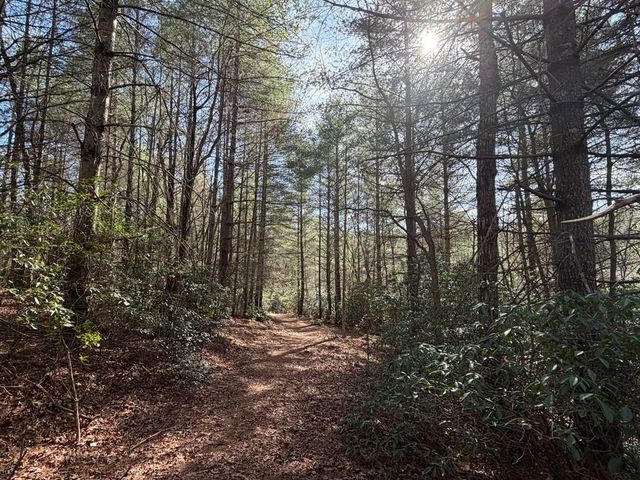 0 Frogtown Place, Dahlonega, GA 30533