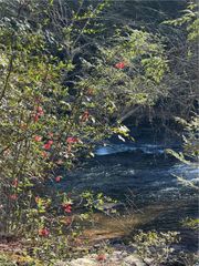 0 Frogtown Place, Dahlonega, GA 30533