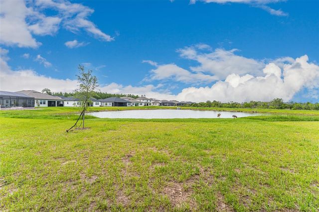 21378 SNOWY ORCHID TERRACE, Land O Lakes, FL 34637