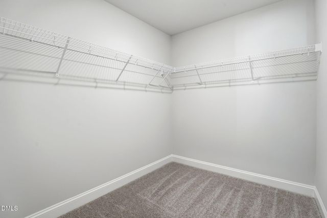 3807 Trace Drive, Wilson, NC 27893