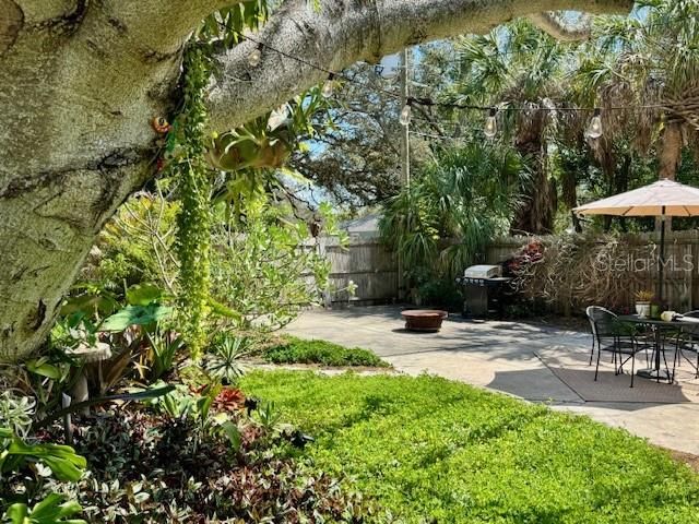 1720 SCRANTON STREET S, St Petersburg, FL 33711