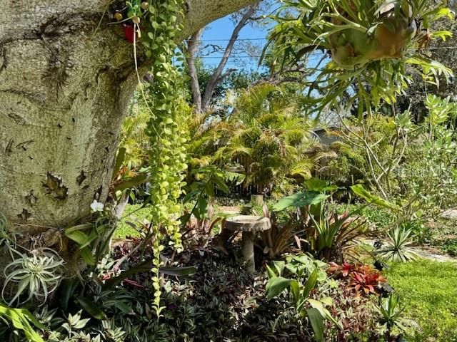 1720 SCRANTON STREET S, St Petersburg, FL 33711