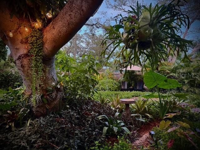 1720 SCRANTON STREET S, St Petersburg, FL 33711