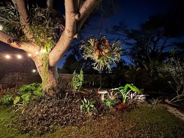 1720 SCRANTON STREET S, St Petersburg, FL 33711