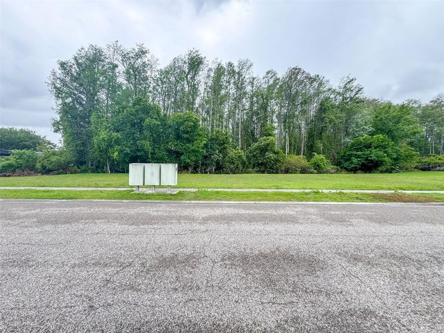 1207 ROYAL SAINT GEORGE DRIVE, Orlando, FL 32828