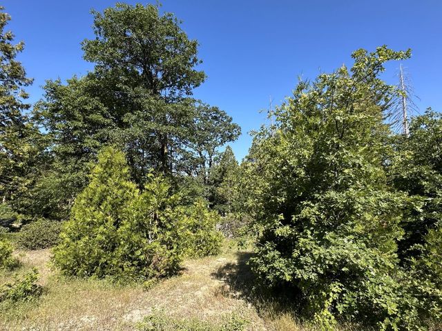 42346 Cook Cabin Lane, Shaver Lake, CA 93664