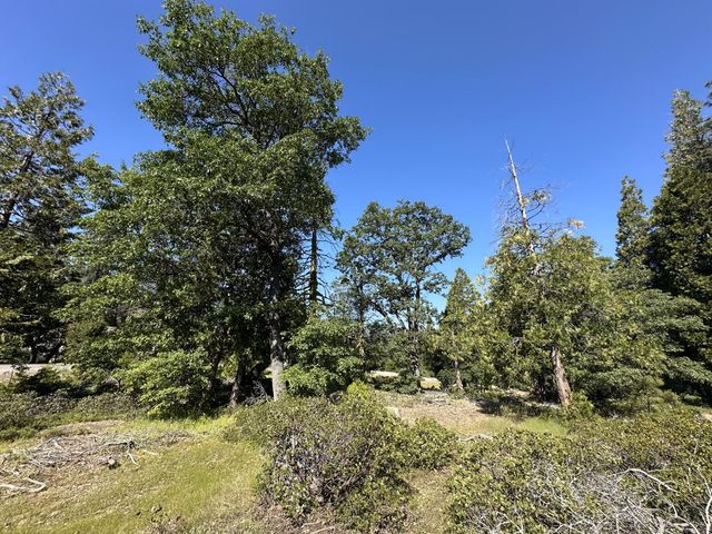 42346 Cook Cabin Lane, Shaver Lake, CA 93664