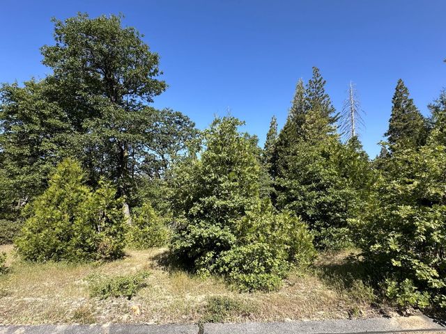42346 Cook Cabin Lane, Shaver Lake, CA 93664