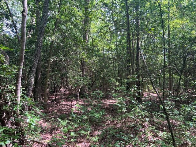 TBD East River Road, King William, VA 23086