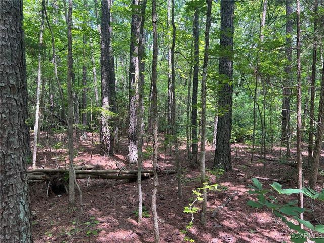 TBD East River Road, King William, VA 23086