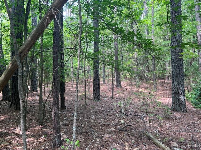TBD East River Road, King William, VA 23086