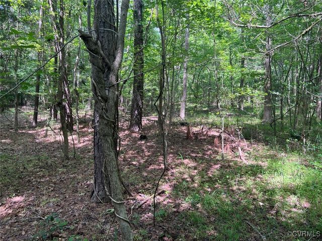 TBD East River Road, King William, VA 23086