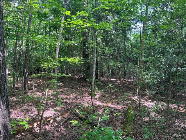 TBD East River Road, King William, VA 23086