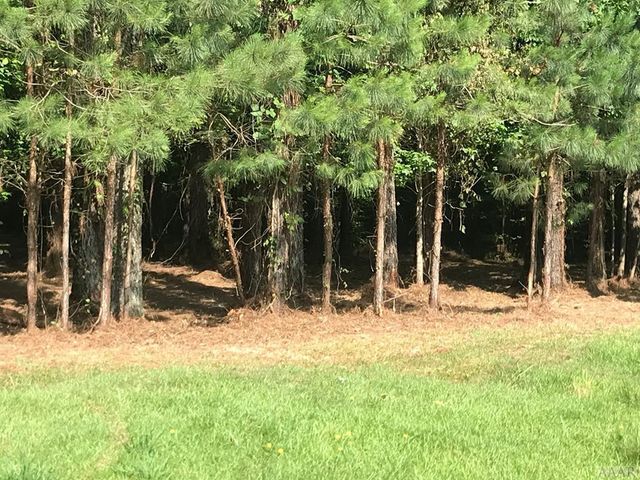 805 Batts Island Road, Edenton, NC 27932