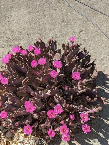 5124 Luna Road, Phelan, CA 92371