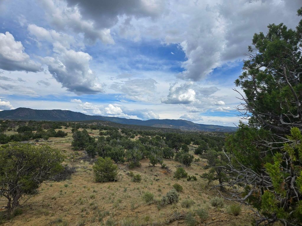 Image 1 of property listing at 469 Co Rd 11, Jemez Springs, NM 87025