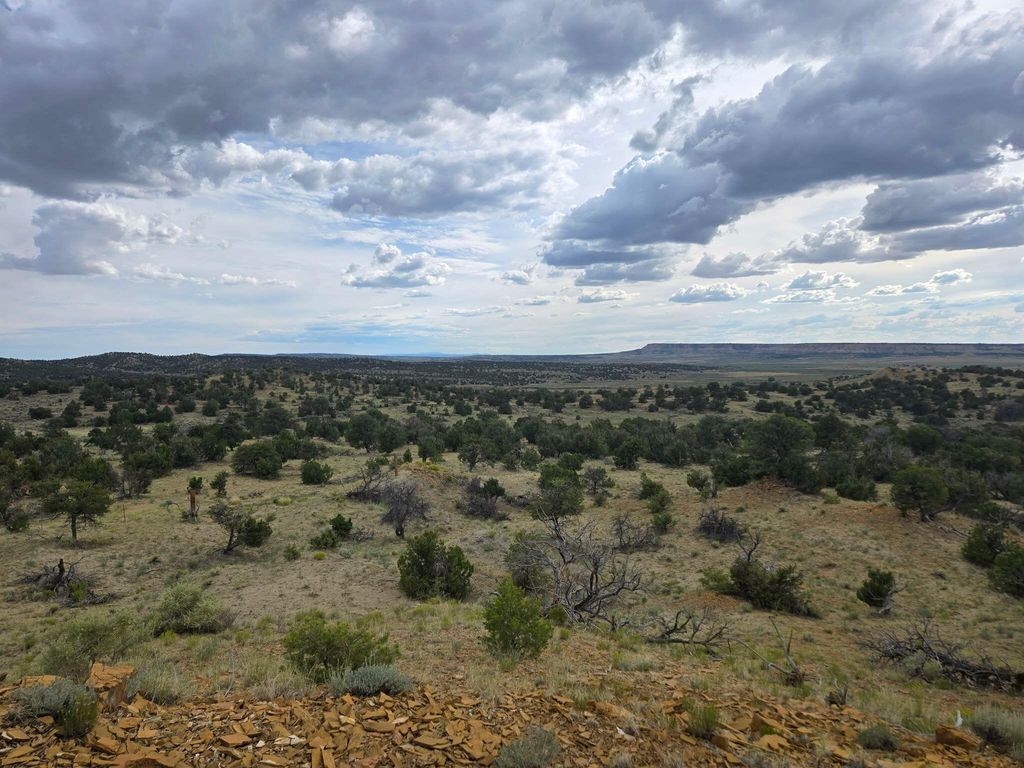 Image 2 of property listing at 469 Co Rd 11, Jemez Springs, NM 87025