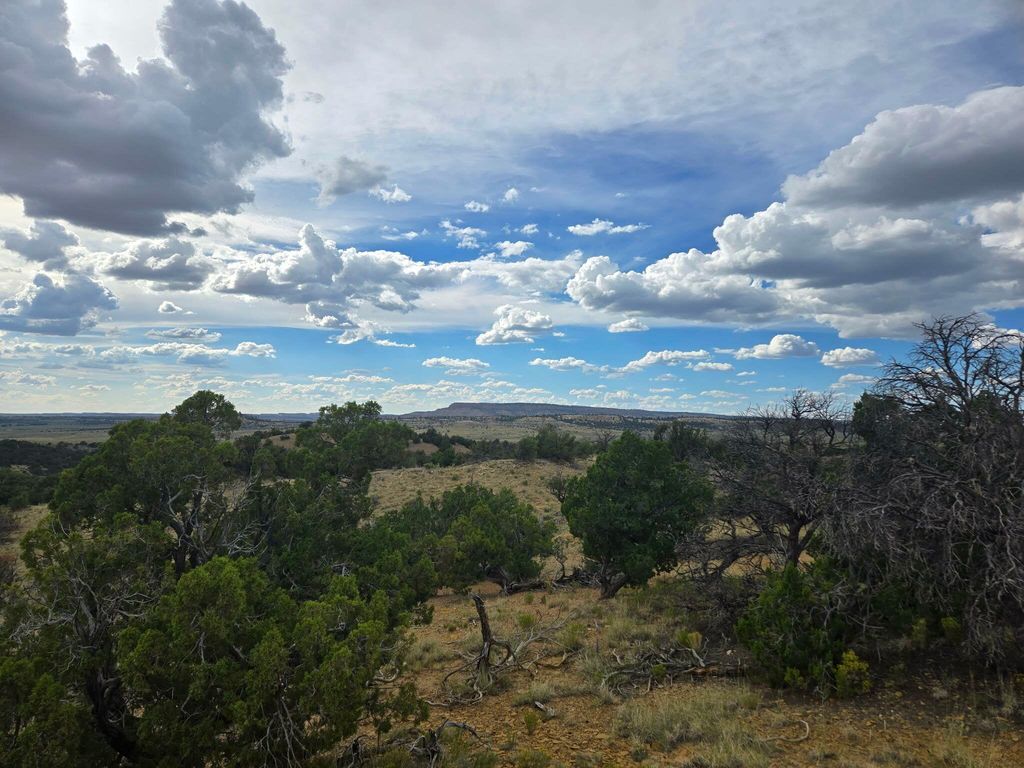 Image 3 of property listing at 469 Co Rd 11, Jemez Springs, NM 87025