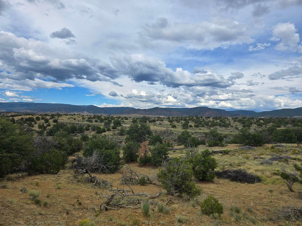 Image 4 of property listing at 469 Co Rd 11, Jemez Springs, NM 87025