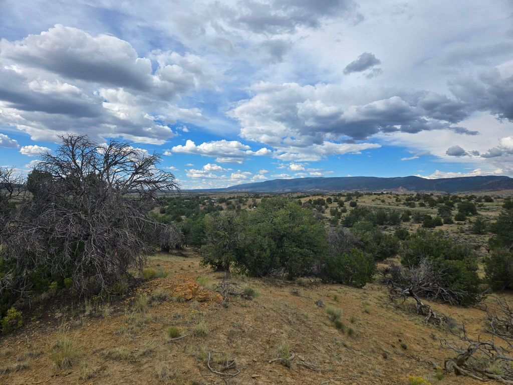 Image 5 of property listing at 469 Co Rd 11, Jemez Springs, NM 87025