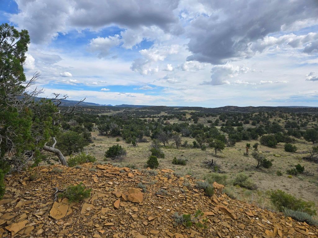 Image 6 of property listing at 469 Co Rd 11, Jemez Springs, NM 87025
