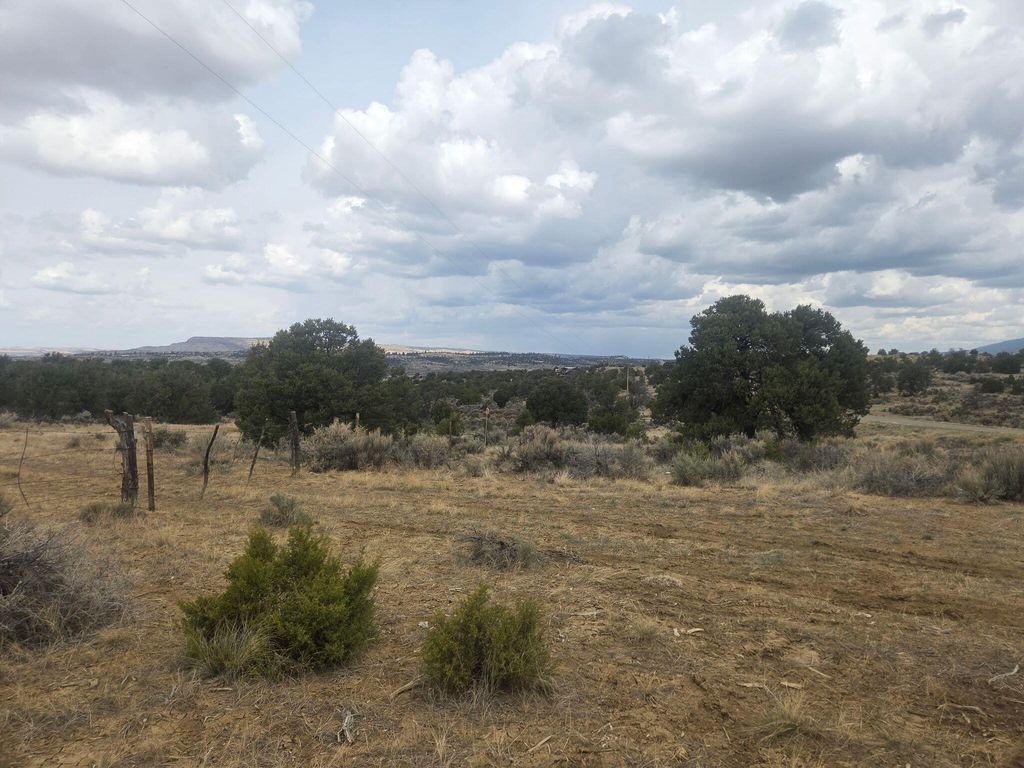 Image 7 of property listing at 469 Co Rd 11, Jemez Springs, NM 87025