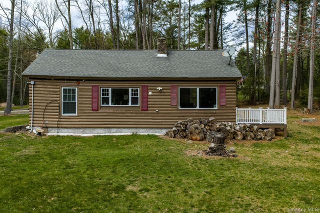 10 Stag Forest Road, Forestburgh, NY 12777