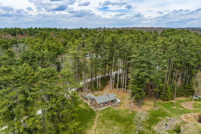 10 Stag Forest Road, Forestburgh, NY 12777