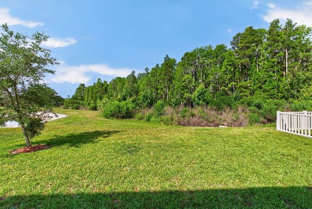 19222 OLD SPANISH ROAD, Tampa, FL 33647