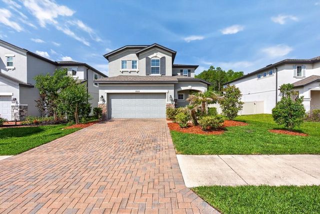 19222 OLD SPANISH ROAD, Tampa, FL 33647