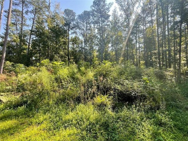 6031 Falcon Court, Austell, GA 30106