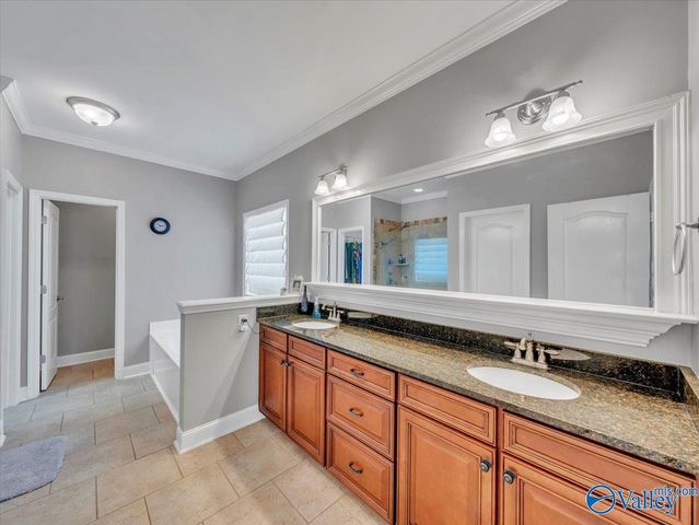 127 Timbercove Circle SW, Madison, AL 35756