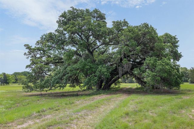 5930 S State Highway 237, Fayetteville, TX 78954