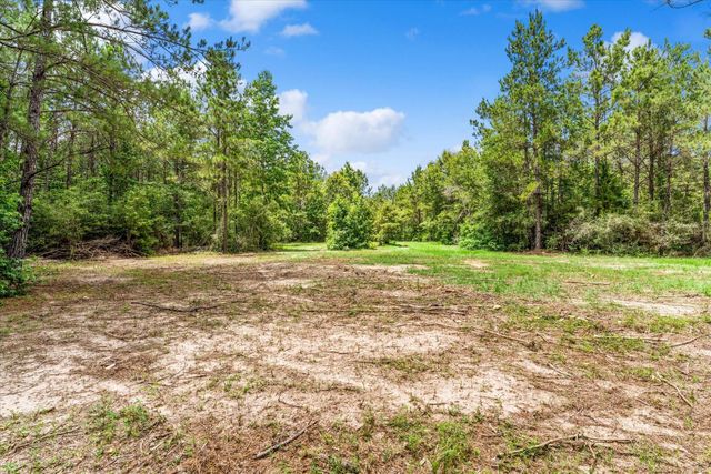 341 Big Buck Drive, Cleveland, TX 77328