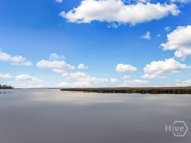 374 Coffee Bluff Villa Road, Savannah, GA 31419