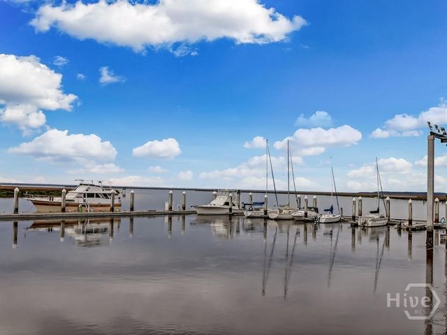 374 Coffee Bluff Villa Road, Savannah, GA 31419