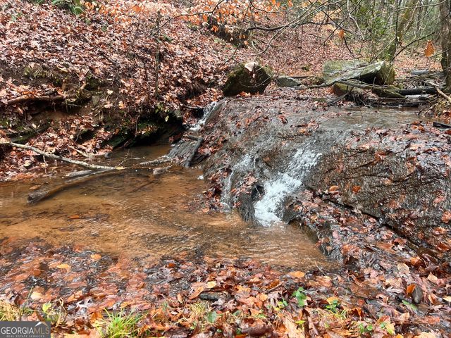 539 N Falling Water Drive, Demorest, GA 30535