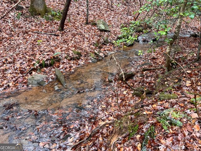 539 N Falling Water Drive, Demorest, GA 30535