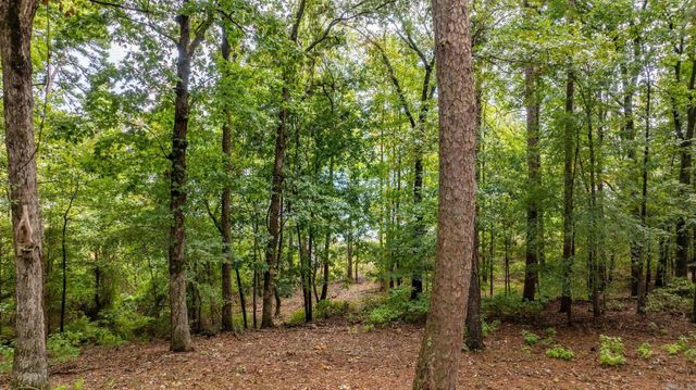 167 Wilshire Drive, Fairfield Bay, AR 72088