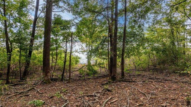 167 Wilshire Drive, Fairfield Bay, AR 72088