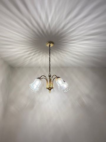 1980 Sapphire Lane, Aurora, IL 60506