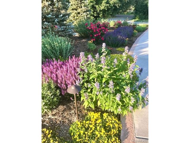 5041 Juniper St, Littleton, CO 80123