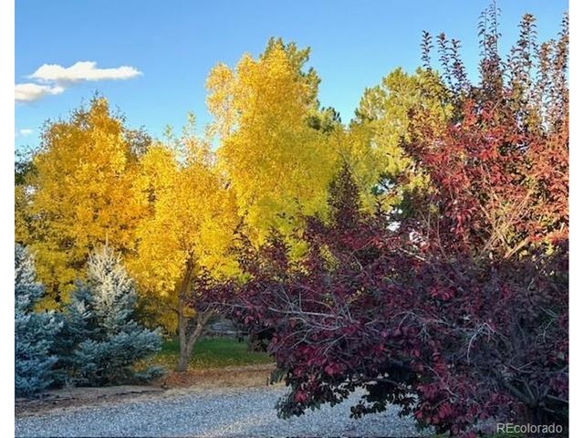 5041 Juniper St, Littleton, CO 80123