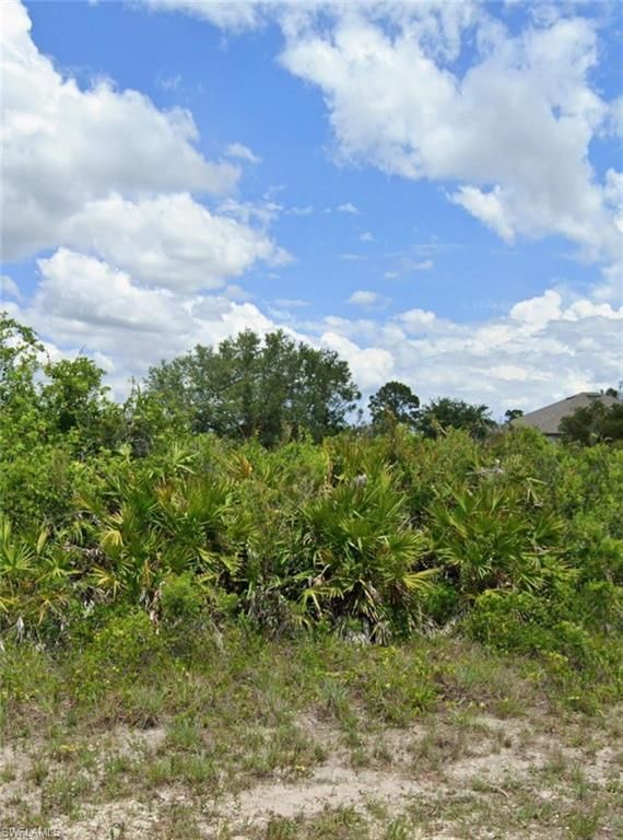 6012 Laura AVE N, LEHIGH ACRES, FL 33971 — exterior