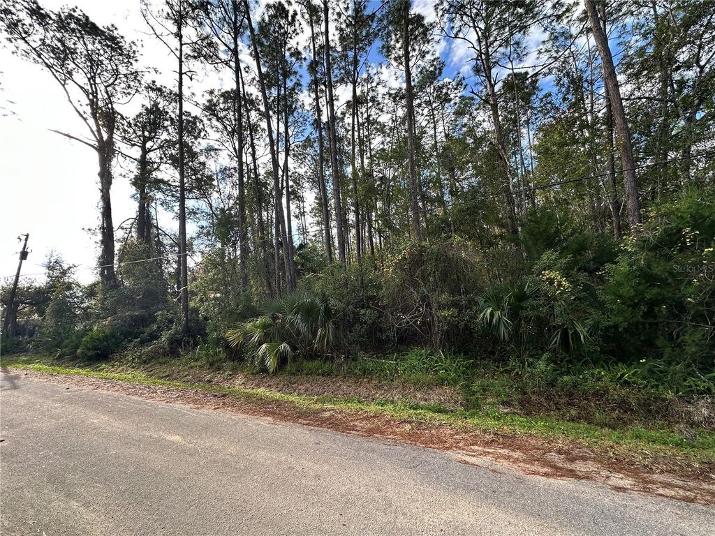 Image 1 of property listing at 00 N PEACH STREET, Bunnell, FL 32110