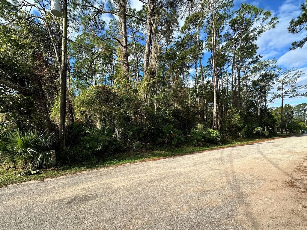 Image 2 of property listing at 00 N PEACH STREET, Bunnell, FL 32110